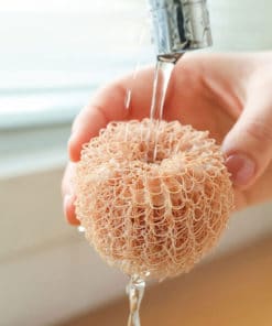 Cute Egg Kitchen Cleaning Brush