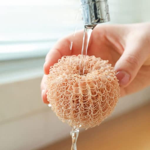 Cute Egg Kitchen Cleaning Brush