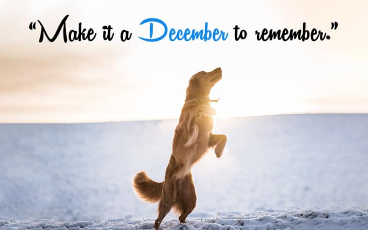 December Quotes