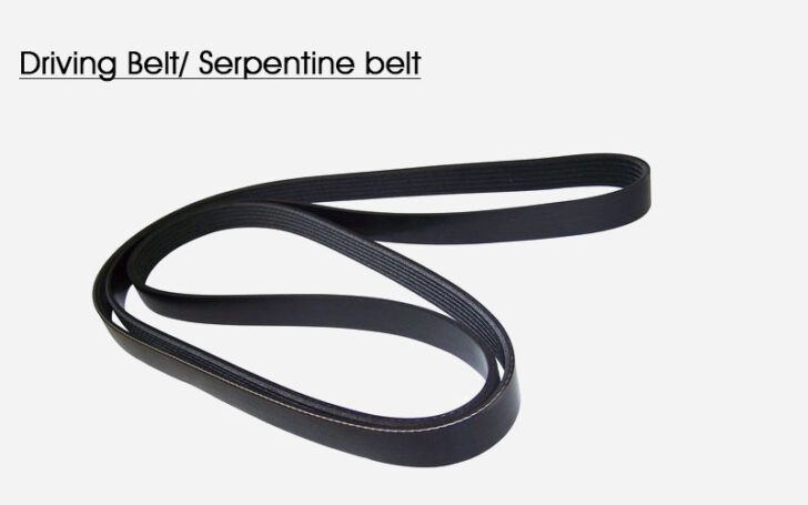 Types of Belts