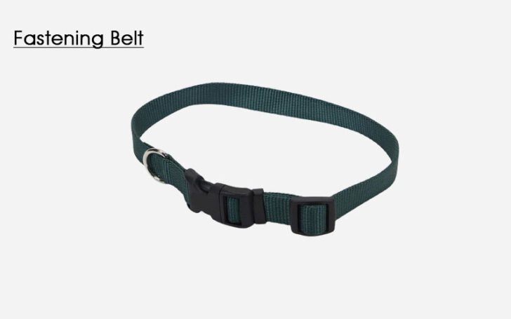 Types of Belts