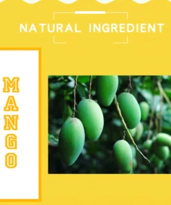 Shabase Neck Firming Wrinkle Remover Cream