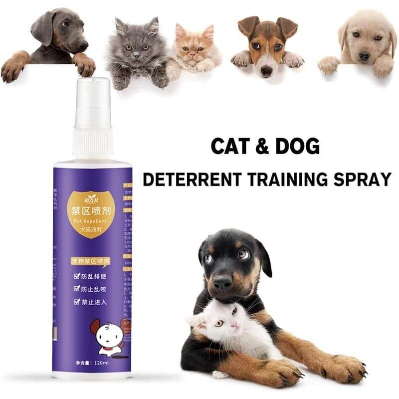 Hapipet Cat Scratch Deterrent Spray Buy Today Get 55 Discount MOLOOCO