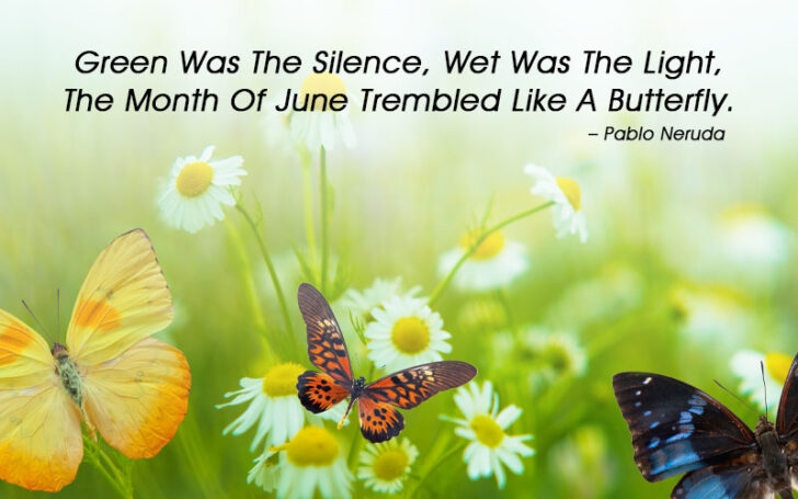 June Quotes