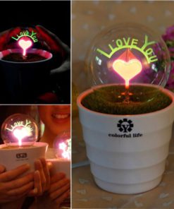 Decorative Vintage Edison Bulb Love Lamp