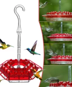 Mary's Sweety Hummingbird Feeder