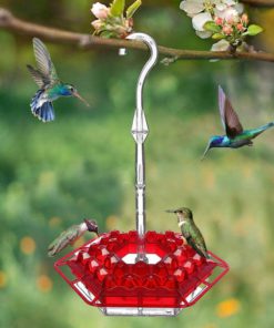 Mary's Sweety Hummingbird Feeder
