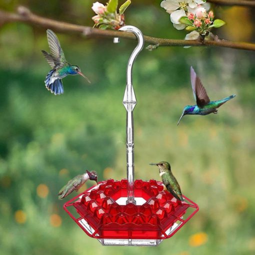 Mary's Sweety Hummingbird Feeder Buy Today Get 55 Discount MOLOOCO