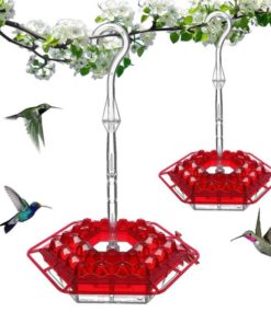 Mary's Sweety Hummingbird Feeder