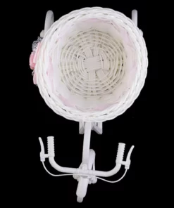 Arhae Tricycle Bike Flower Basket