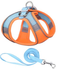 Dog Harness Vest Leash
