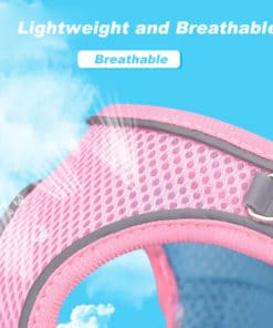 Dog Harness Vest Leash