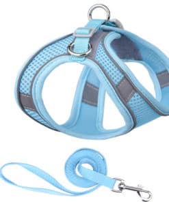 Dog Harness Vest Leash