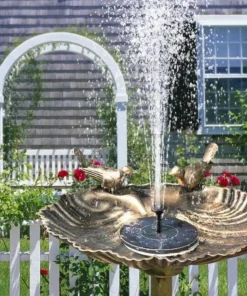Solar Powered Hummingbird Fountain and Bionic Bird