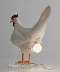 This Taxidermy Chicken Egg Lamp Exists