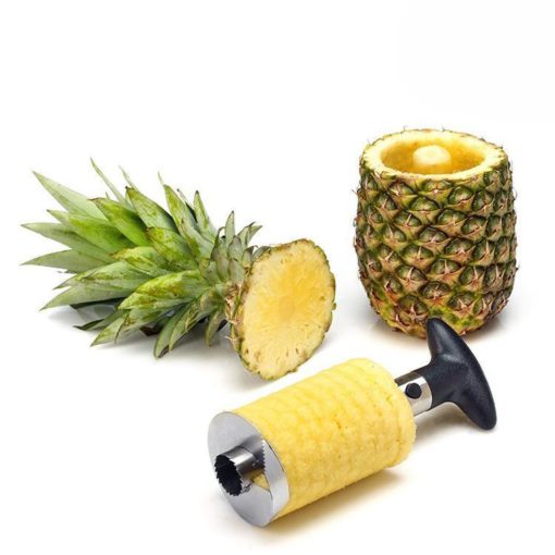 Obst-Ananas-Entkerner aus Edelstahl