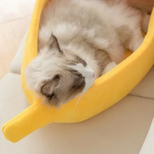 코튼 바나나 고양이 침대