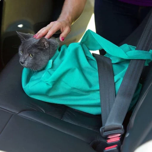 Савршена торба за ношење мачака