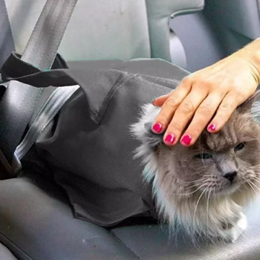 Geantă perfectă pentru transportul pisicilor