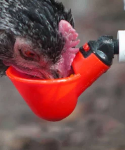 Automatic Chicken Water Cups For Buckets & PVC Pipes