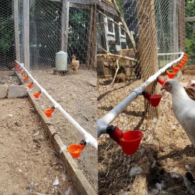 Automatic Chicken Water Cups For Buckets & PVC Pipes