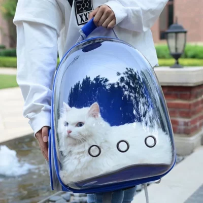 Cute Clear Cat Backpack Carrier