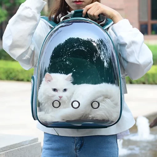 Cute nga Tin-aw nga Cat Backpack Carrier