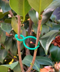 Garden Plant Holder (50PCS)