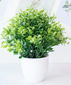 Potium Green Bonsai Small Tree Pot Plants