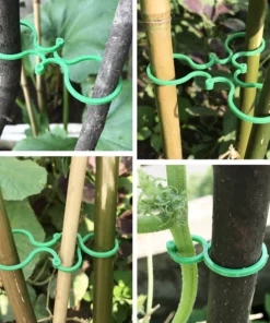 Garden Plant Holder (50PCS)