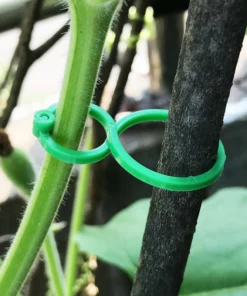 Garden Plant Holder (50PCS)