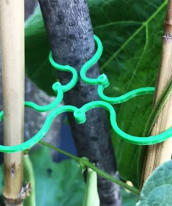 Garden Plant Holder (50PCS)