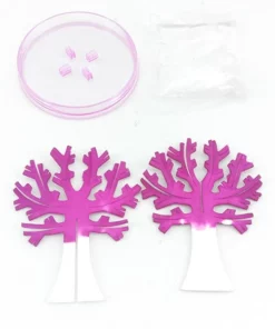 Coleus Bonsai Rainbow Dragon Cherry Blossom