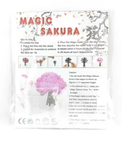 Coleus Bonsai Rainbow Dragon Cherry Blossom