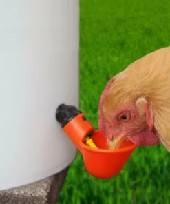 Automatic Chicken Water Cups For Buckets & PVC Pipes
