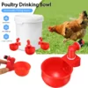 Automatic Poultry Waterer