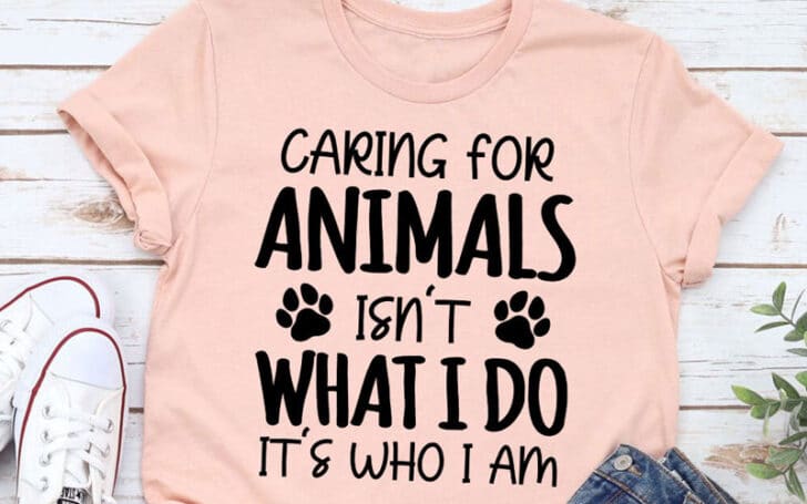 Gifts for Veterinarians