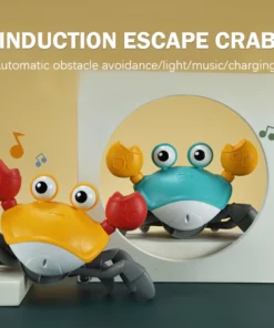 Crawling Crab Sensory Toy