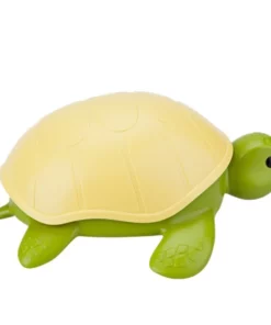 Creative Turtle Soap Box