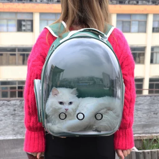 Cute nga Tin-aw nga Cat Backpack Carrier