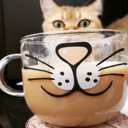 Kitty kohvikruus