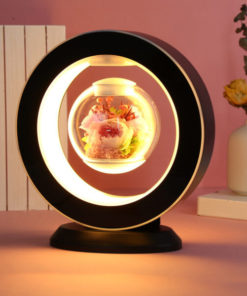 Magnetic Floating Immortal Flower Vase Lamp