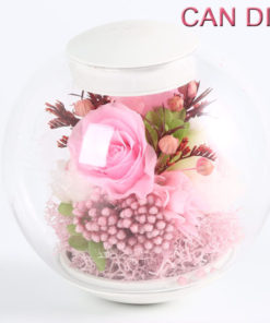 Magnetic Floating Immortal Flower Vase Lamp