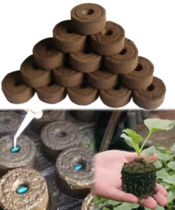 Peansea Cultivate Seed Migration Tool