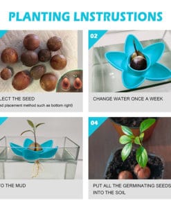 Avocado Tree Planter