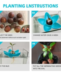 Avocado Tree Planter