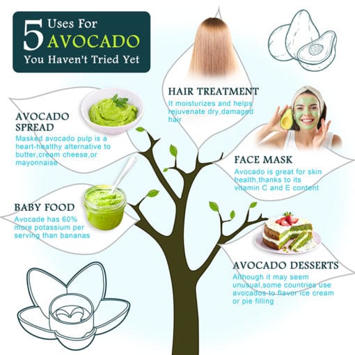 Avocado Tree Planter