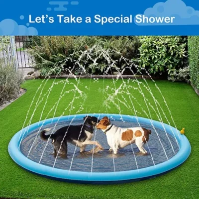 Dog Sprinkler Pool