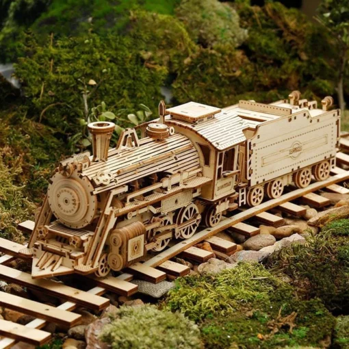 Super Wooden Mechanical Model Puzzle Set