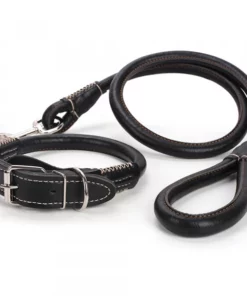 2-in-1 Rolled Leather Dog Collar & Leash